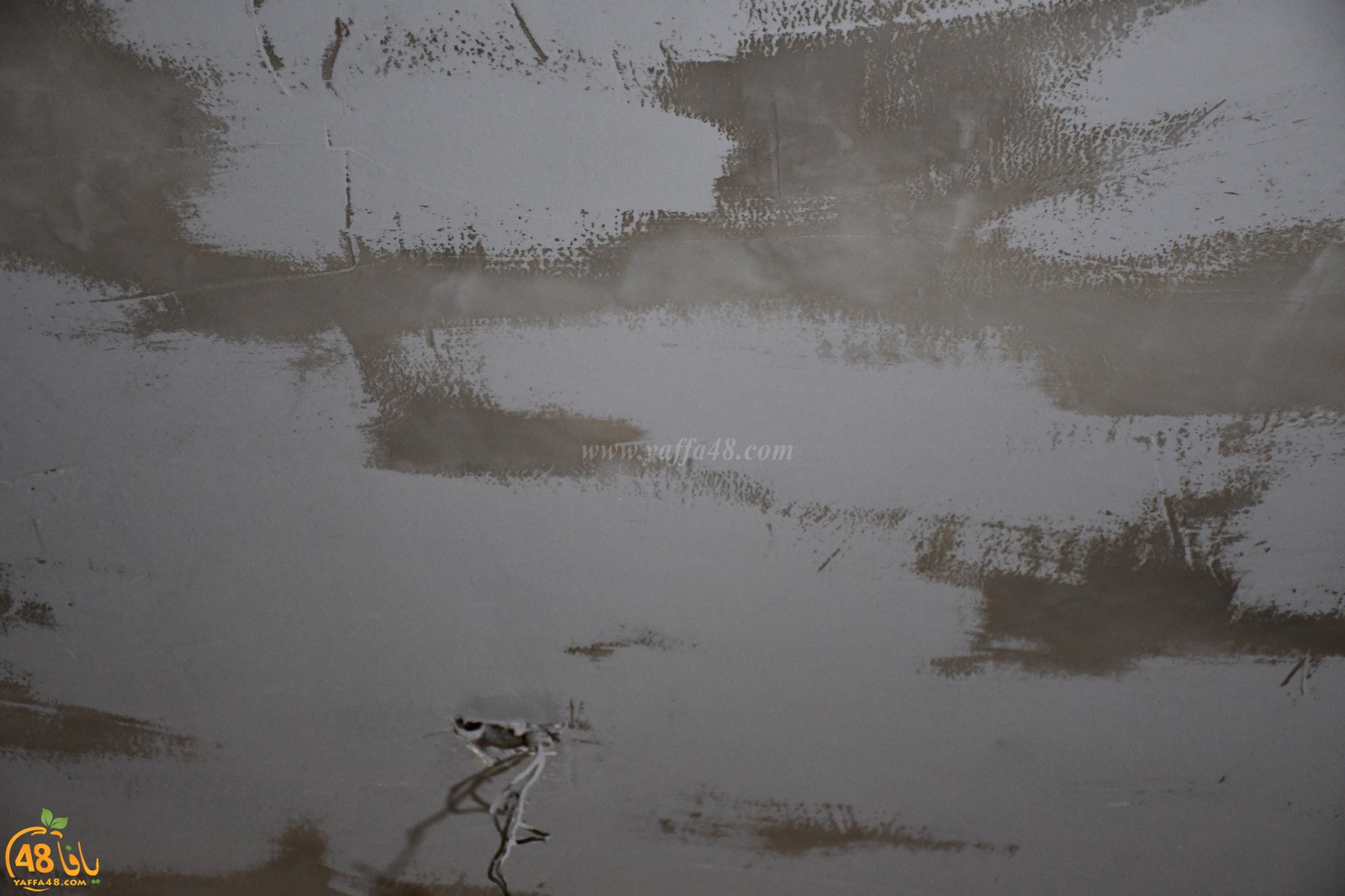 WhatsApp Image 2020-02-10 at 11.22.47 AM (3).jpeg.jpg.jpg